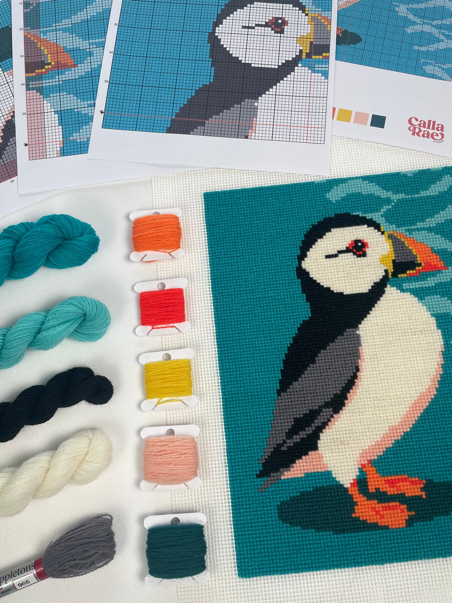 Puffin and Waves