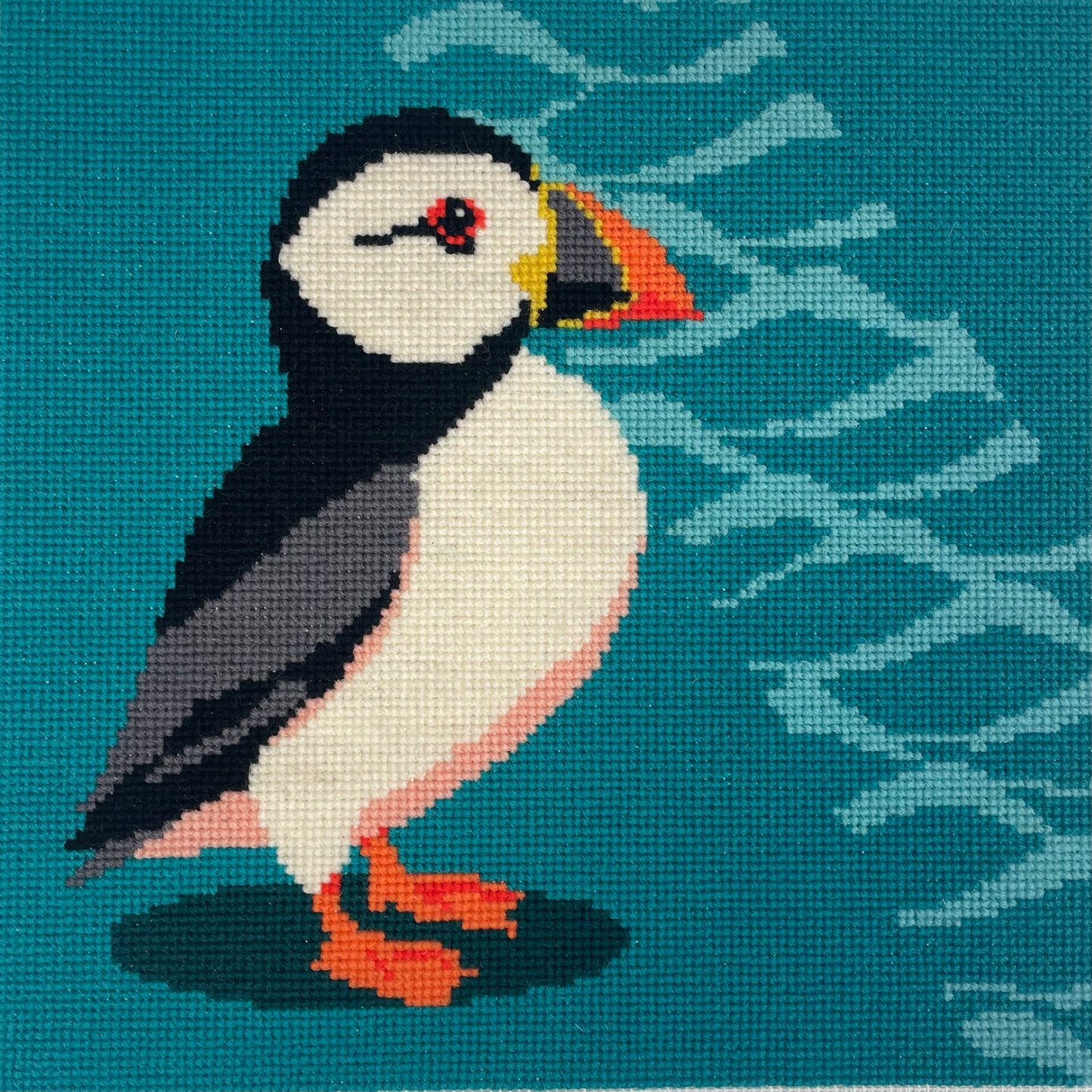 Puffin and Waves