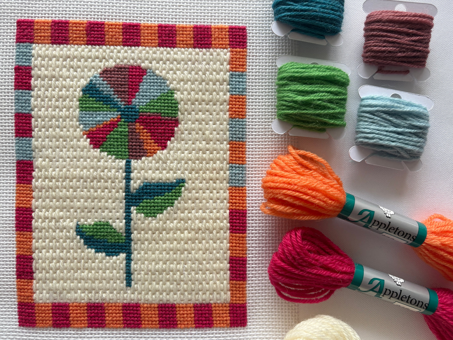 Flower in Frame