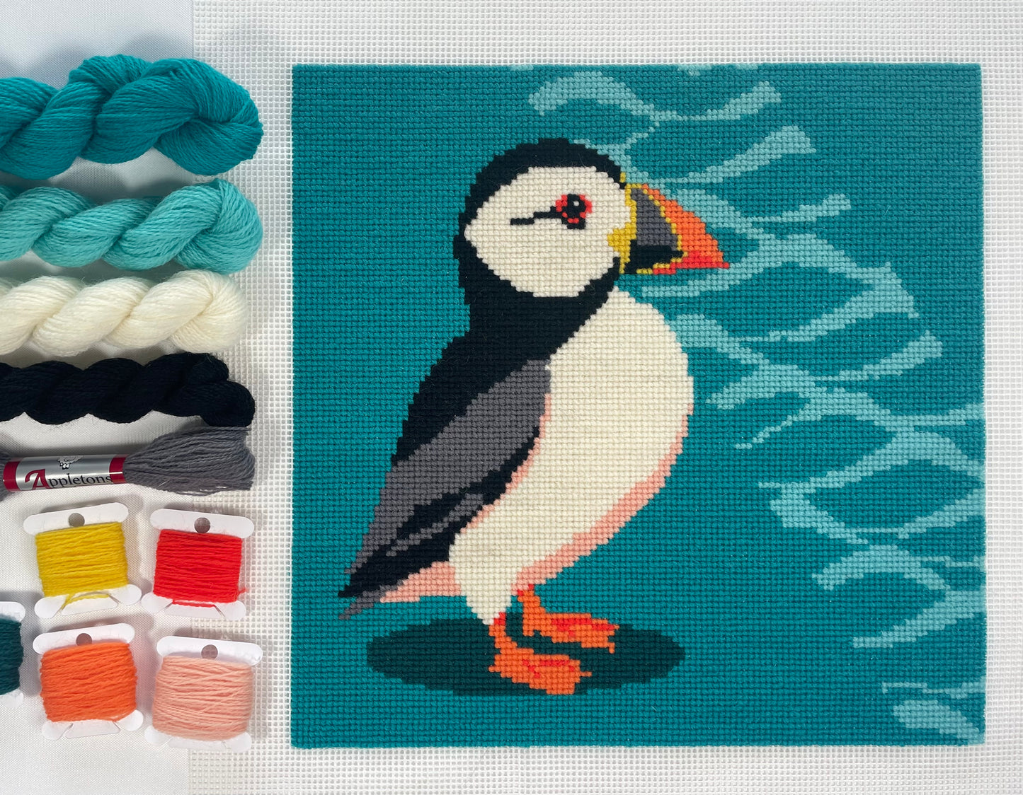 Puffin and Waves