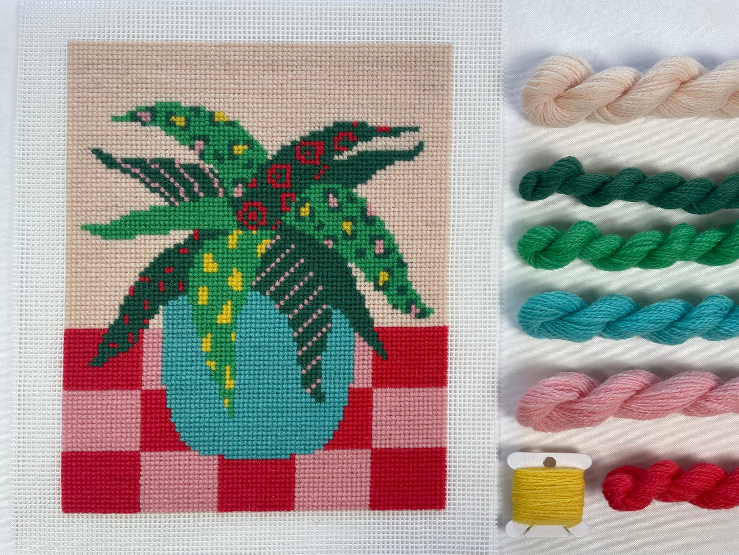 Pattern Plant