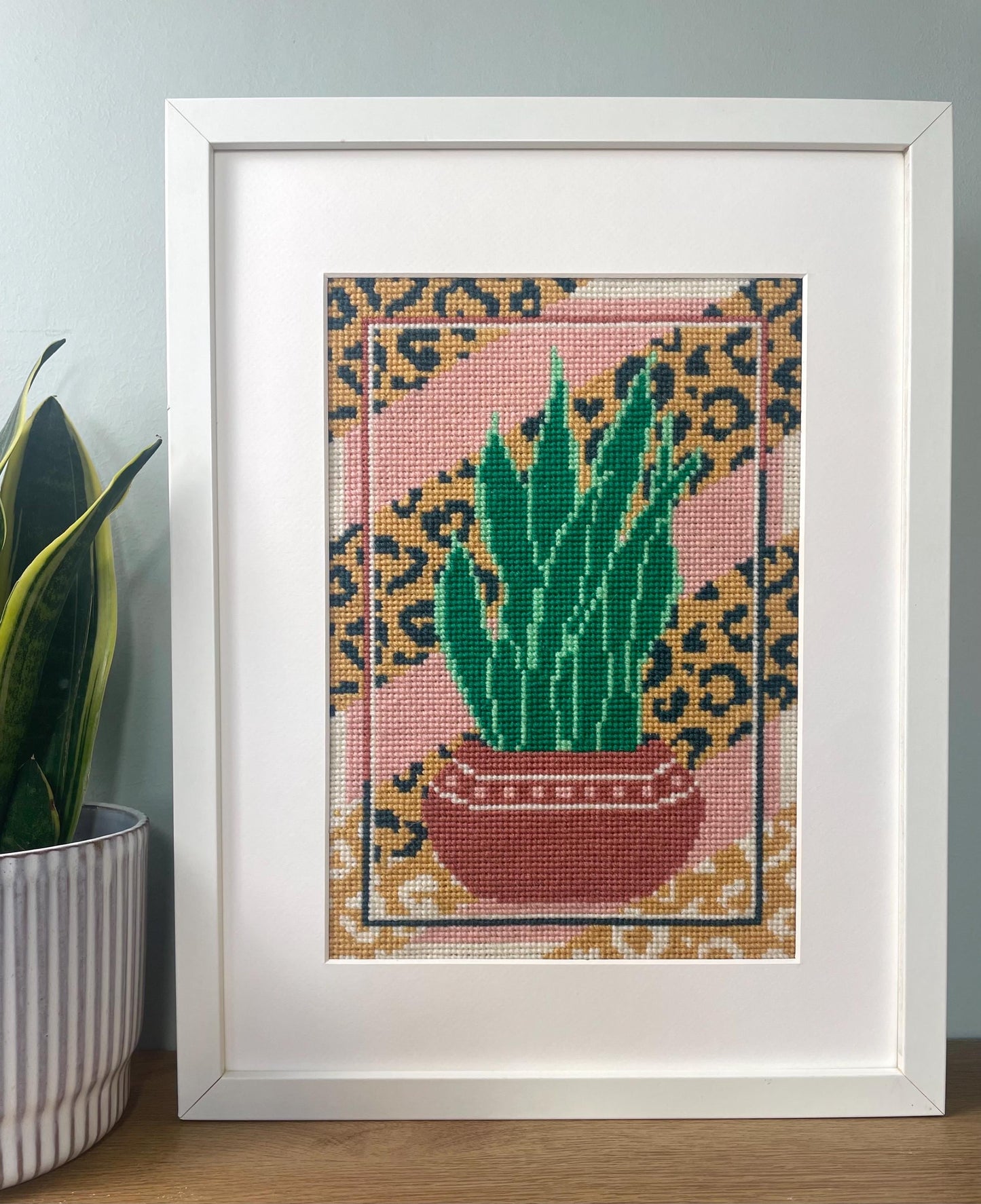 Sansevieria Mustard