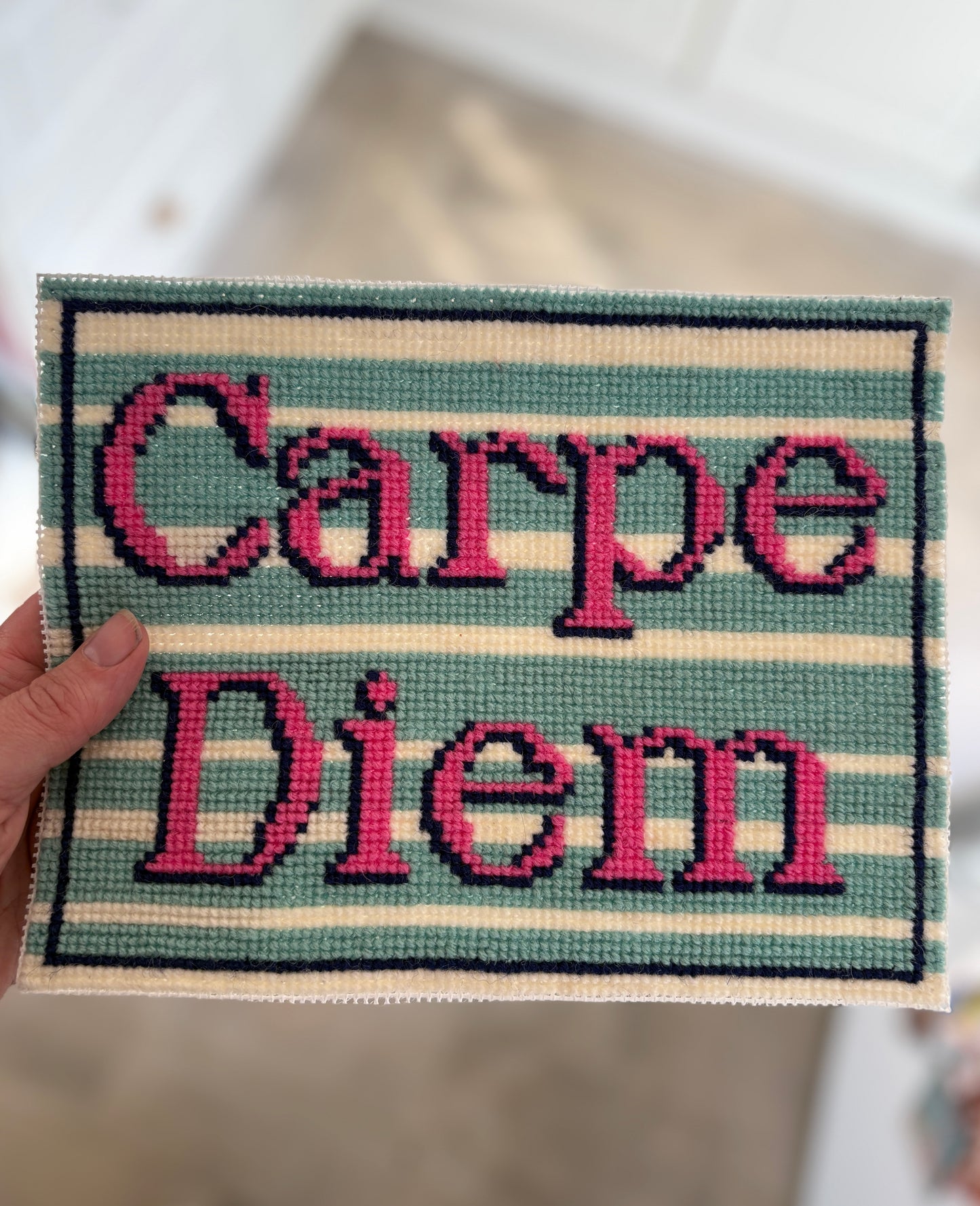 Carpe Diem Cross Stitch Kit