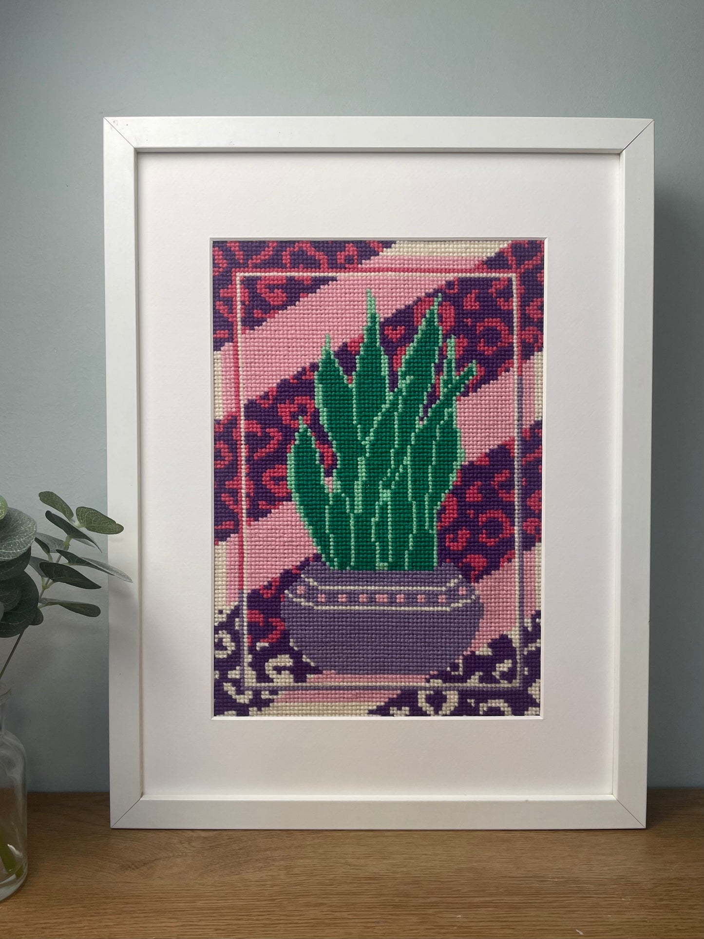 Sansevieria Purple