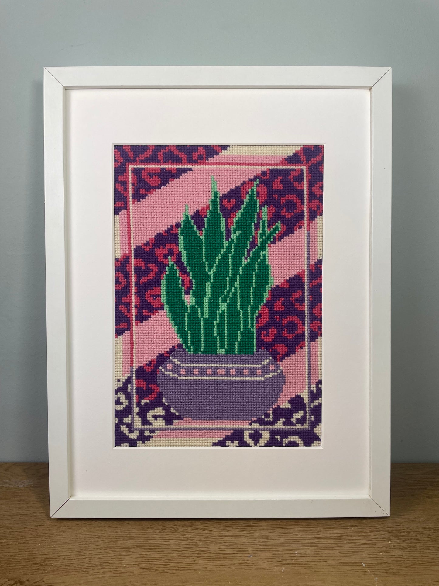 Sansevieria Purple