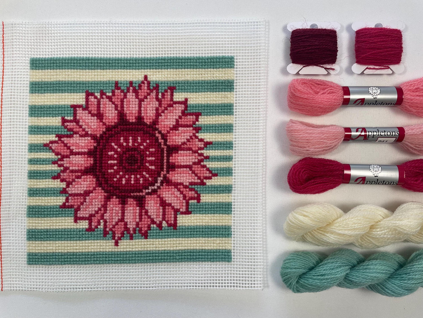 Sunflower Pink